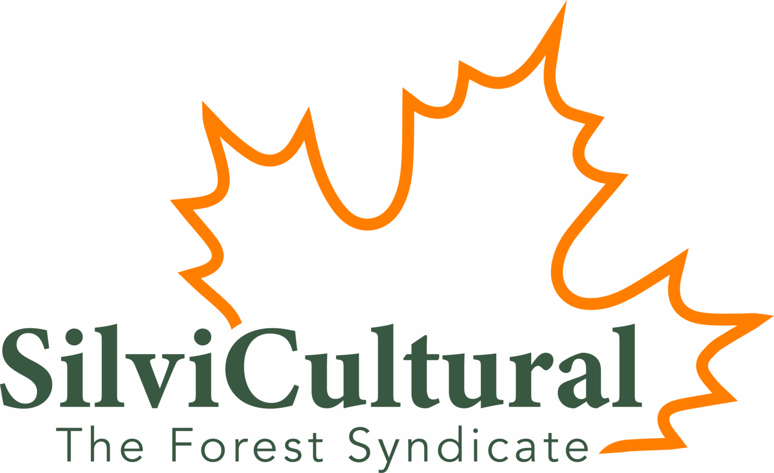 what-is-a-geotiff-how-to-get-the-most-out-of-silvicultural