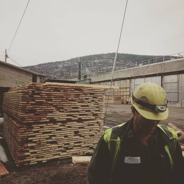 October 2025 Market Report: Lumber Markets Face Perfect Storm