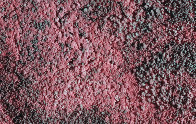 Understanding Color Infrared Imagery for Forest Management